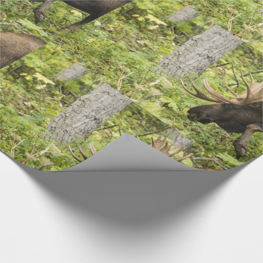 Mandering Moose Geschenkpapier (Ecke)