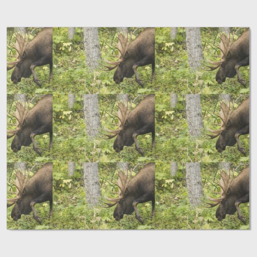Mandering Moose Geschenkpapier (Flach)