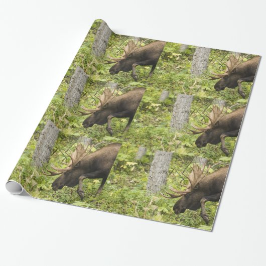 Mandering Moose Geschenkpapier (Ungerollt)