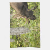 Mandering Moose Küchentuch (Vertikal)