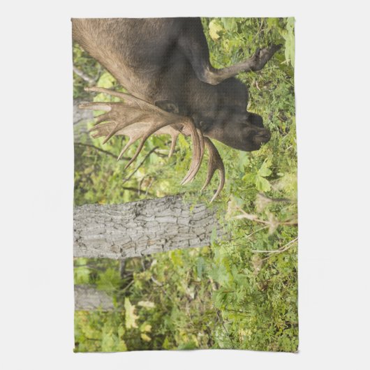 Mandering Moose Küchentuch (Vertikal)