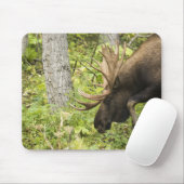 Mandering Moose Mousepad (Mit Mouse)
