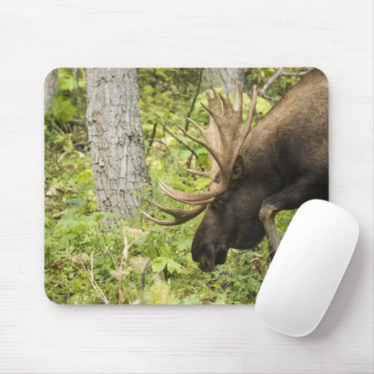 Mandering Moose Mousepad (Mit Mouse)