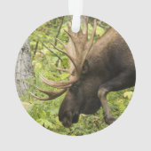 Mandering Moose Ornament (Rückseite)