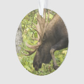 Mandering Moose Ornament (Vorderseite)