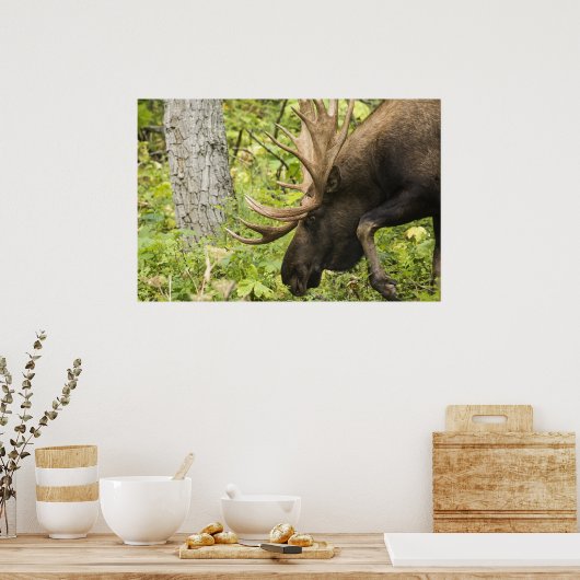 Mandering Moose Poster (Küche)