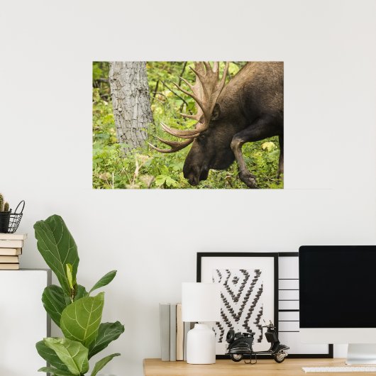Mandering Moose Poster (Heimbüro)