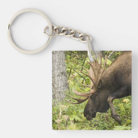 Mandering Moose Schlüsselanhänger (Vorderseite)