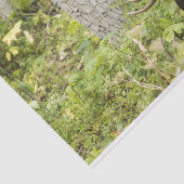 Mandering Moose Seidenpapier (Ausschnitt)