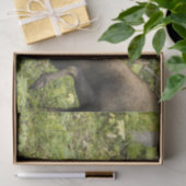 Mandering Moose Seidenpapier (Geschenk)