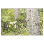 Mandering Moose Stoff (Fat Quarter (45,7 x 55,9 cm))