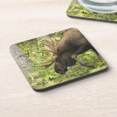 Mandering Moose Untersetzer (Linke Seite)