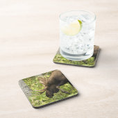 Mandering Moose Untersetzer (Rechte Seite)