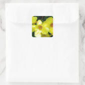 Mandevilla.JPG Quadratischer Aufkleber (Tasche)