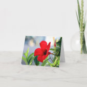 Mandevilla Karte (Vorderseite)