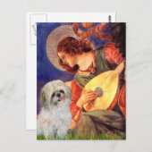 Mandolin Angel - Shih Tzu (P) Postkarte (Vorne/Hinten)