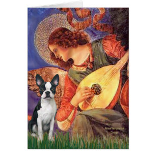 Mandolin Engel - Boston Terrier #1