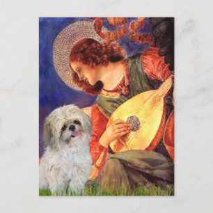 Mandolin Engel - Shih Tzu (P) Postkarte