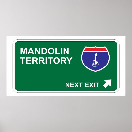 Mandolin Next Exit Poster (Vorne)
