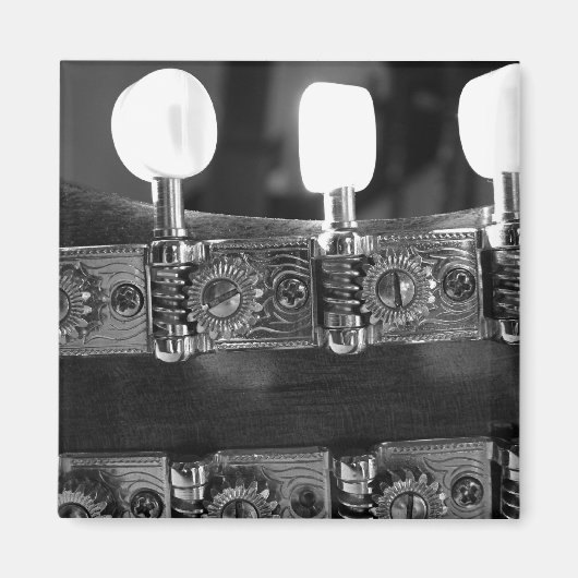 Mandolin Tuning Pegs Magnet (Vorne)