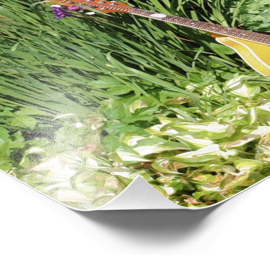 Mandolin und Iris Garden 10x8 Blume Fotodruck (Ecke)