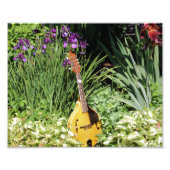 Mandolin und Iris Garden 10x8 Blume Fotodruck (Vorne)
