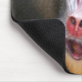 Mandril (Mandrillus sphinx) nah Mousepad (Ecke)