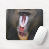 Mandril (Mandrillus sphinx) nah Mousepad (Mit Mouse)
