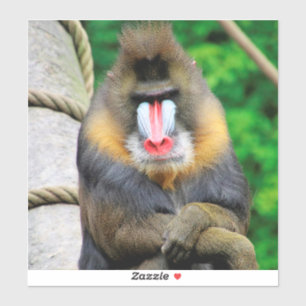 Mandrill 001 aufkleber