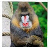 Mandrill 001 fliese (Vorderseite)
