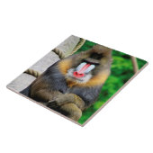 Mandrill 001 fliese (Seite)