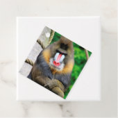 Mandrill 001 geschenkanhänger (Beispiel)