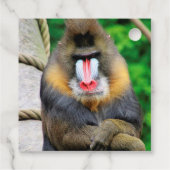 Mandrill 001 geschenkanhänger (Rückseite)