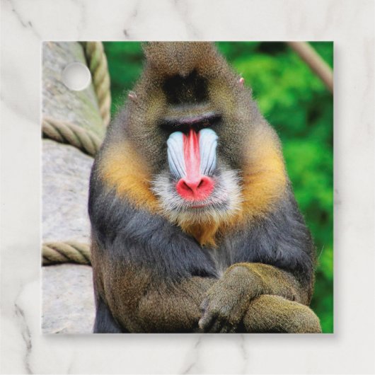 Mandrill 001 geschenkanhänger (Vorderseite)