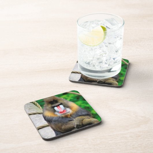 Mandrill 001 getränkeuntersetzer (Rechte Seite)