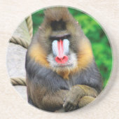 Mandrill 001 getränkeuntersetzer (Vorne)