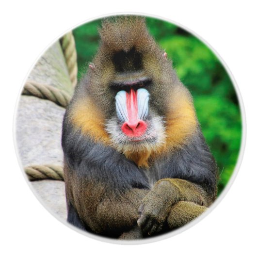 Mandrill 001 keramikknauf (Vorderseite)