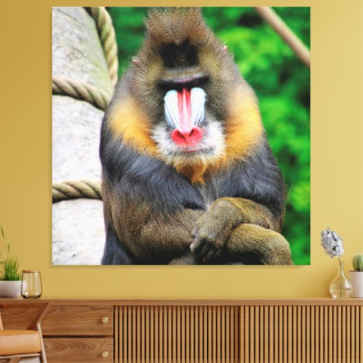 Mandrill 001 leinwanddruck (Insitu (Wohnzimmer))