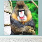 Mandrill 001 leinwanddruck (Insitu (Holzboden))