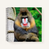 Mandrill 001 notizblock (Vorderseite)