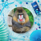 Mandrill 001 pappteller (Party)
