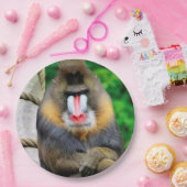 Mandrill 001 pappteller (Party)