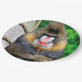 Mandrill 001 pappteller (Schrägansicht)