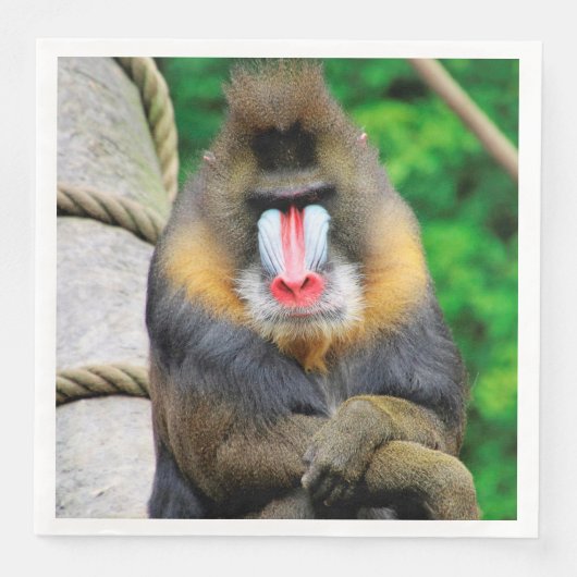 Mandrill 001 serviette (Vorderseite)