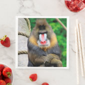 Mandrill 001 serviette (Beispiel)