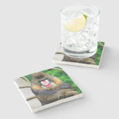 Mandrill 001 steinuntersetzer (Seitenansicht)