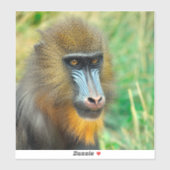 Mandrill 002 aufkleber (Blatt)
