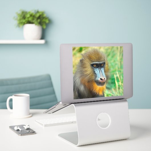 Mandrill 002 aufkleber (Laptop auf Schreibtisch)
