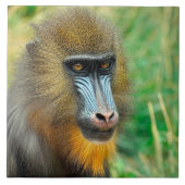 Mandrill 002 fliese (Vorderseite)