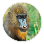 Mandrill 002 keramikknauf (Vorderseite)